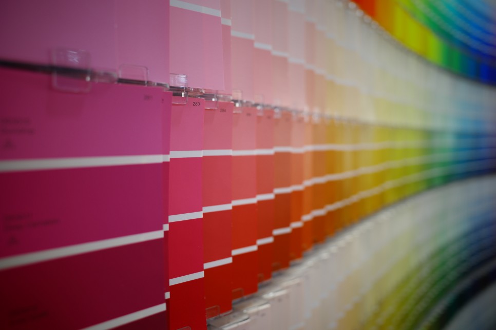 [댄 에드워드 무광 셀프 인테리어] 벽지 페인트 칠하기 8