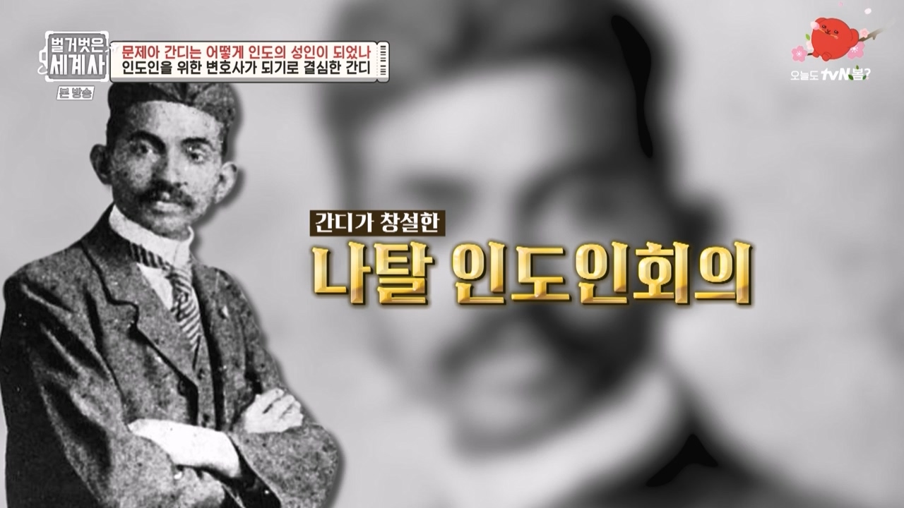 벌거벗은 세계사.E92.230329p-NEXT.mp4_20230425_201803.082.jpg