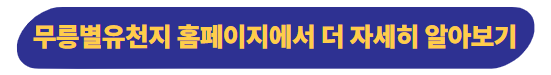 무릉별유천지 홈페이지에서 더 자세히 알아보기
