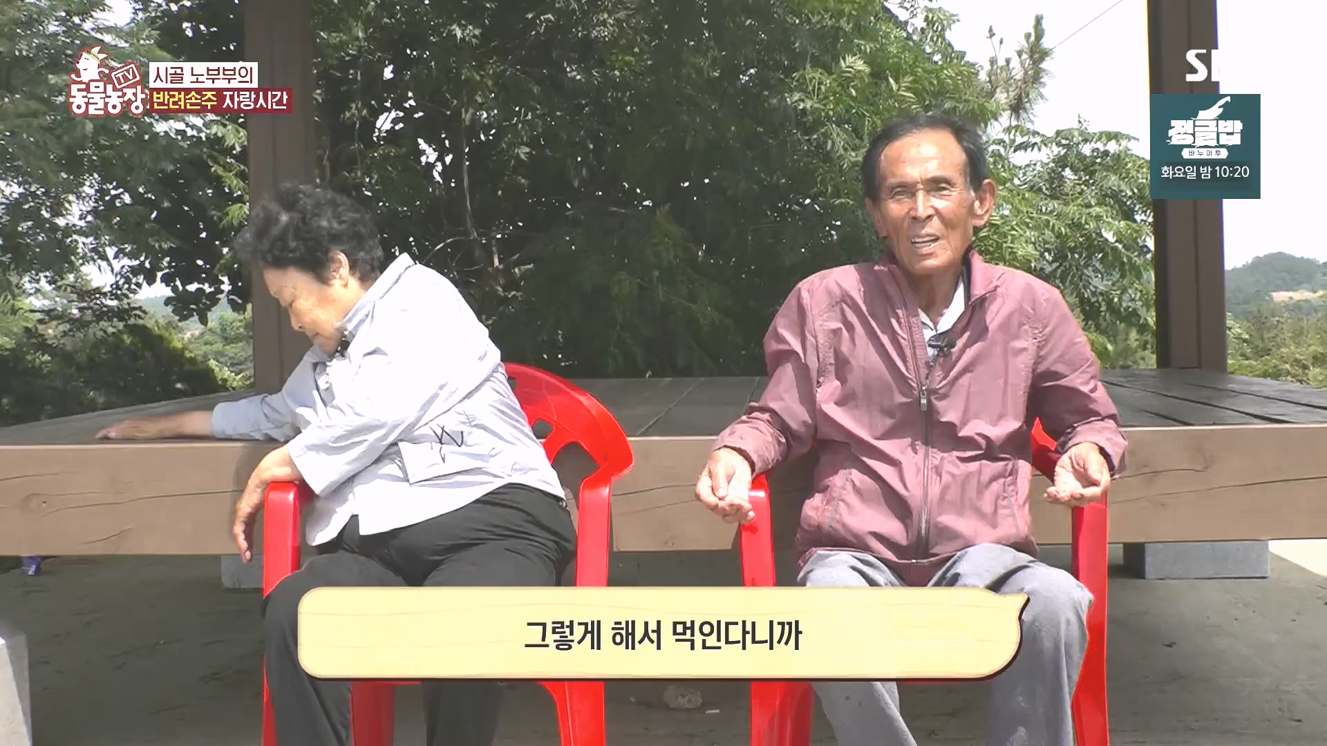 TV 동물농장.E1185.240818p.H264-F1RST.mp4_20240818_161556.281.jpg