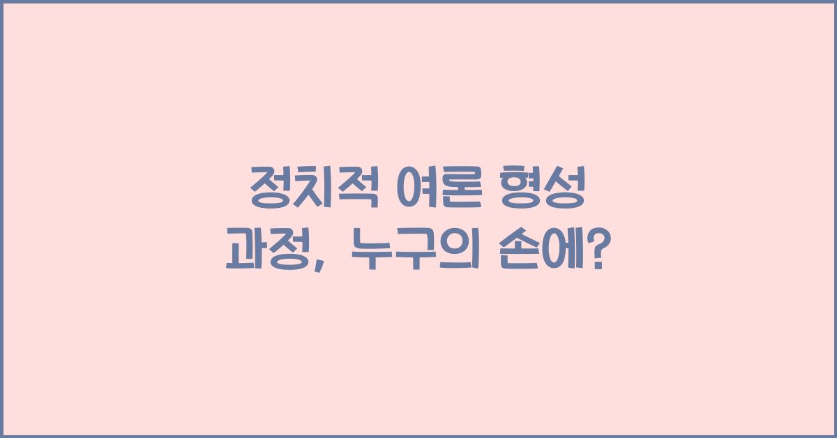 정치적 여론 형성 과정