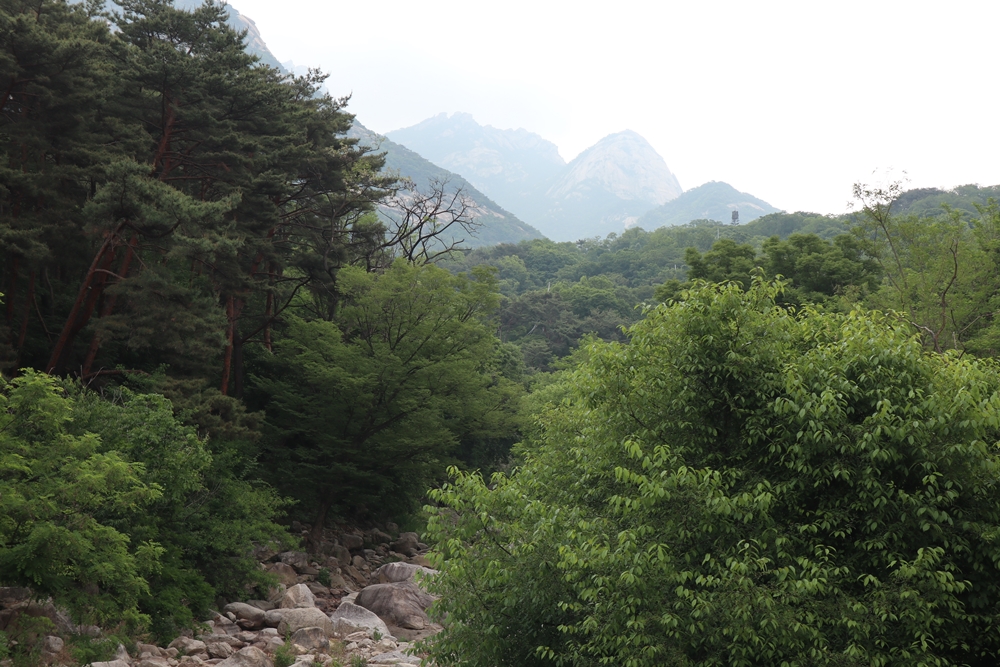 북한산삼각봉이보이는북한동계곡