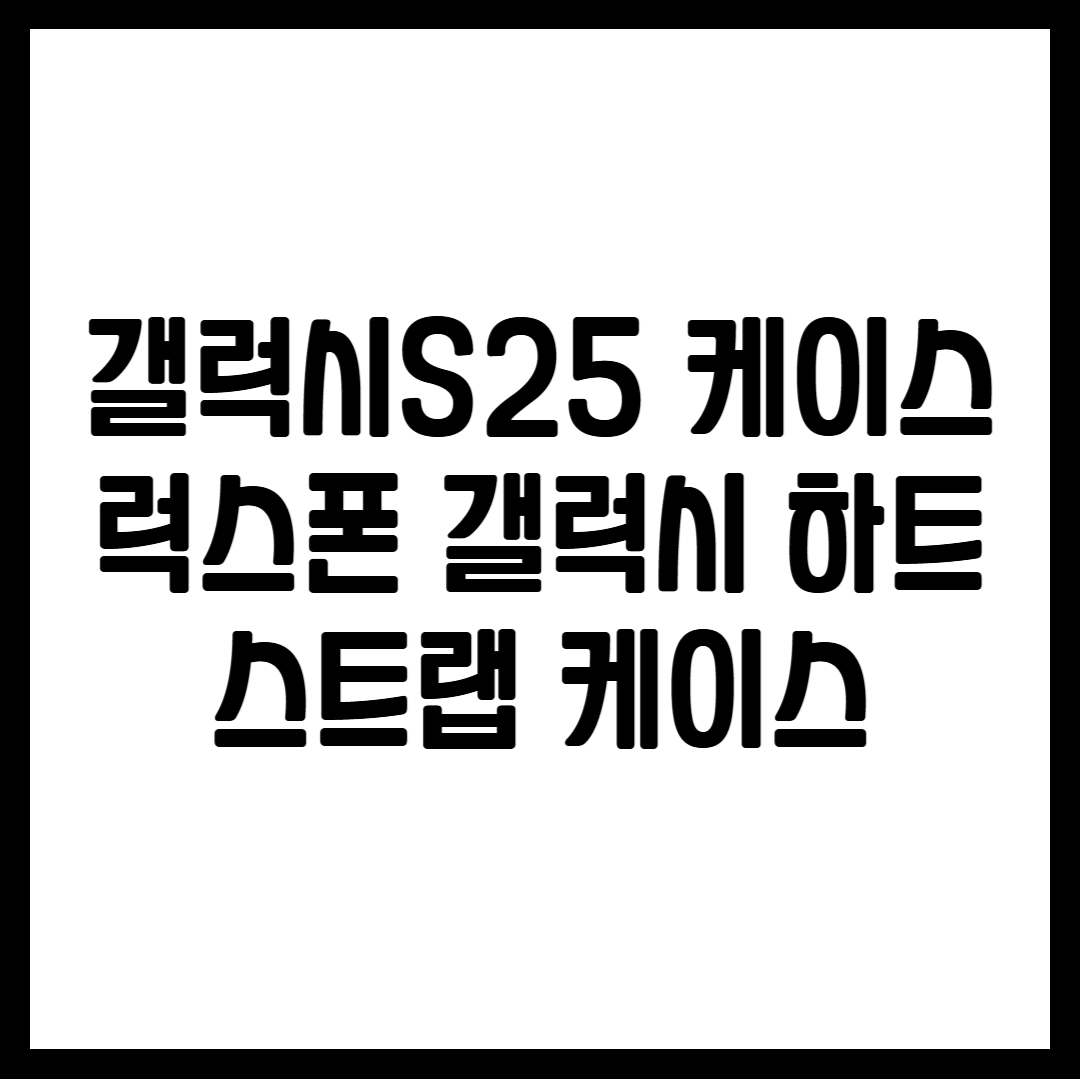 갤럭시S25 케이스