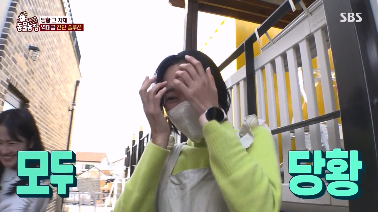 TV 동물농장.E1172.240520p-NEXT.mp4_20240519_165007.478.jpg