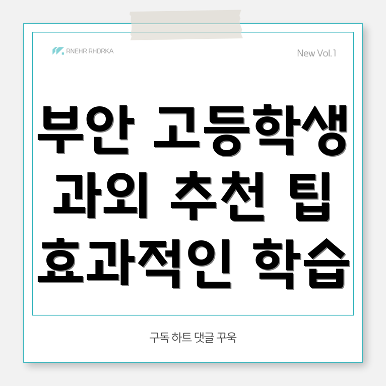 부안 고등학생 과외