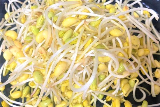손질된콩나물