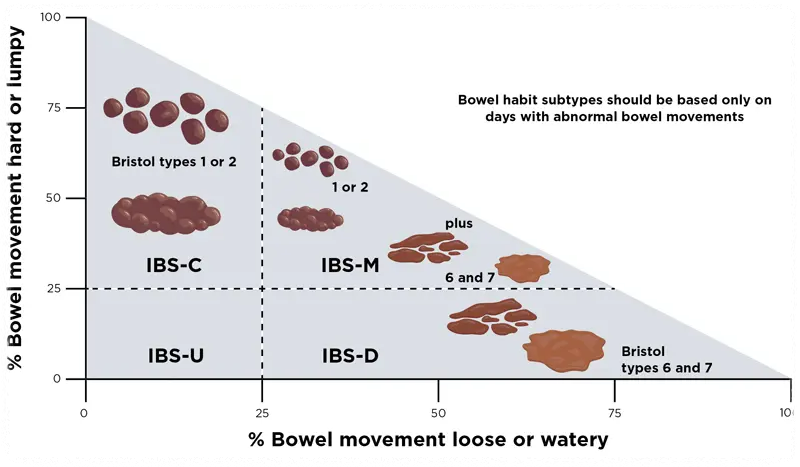 ibs 아형