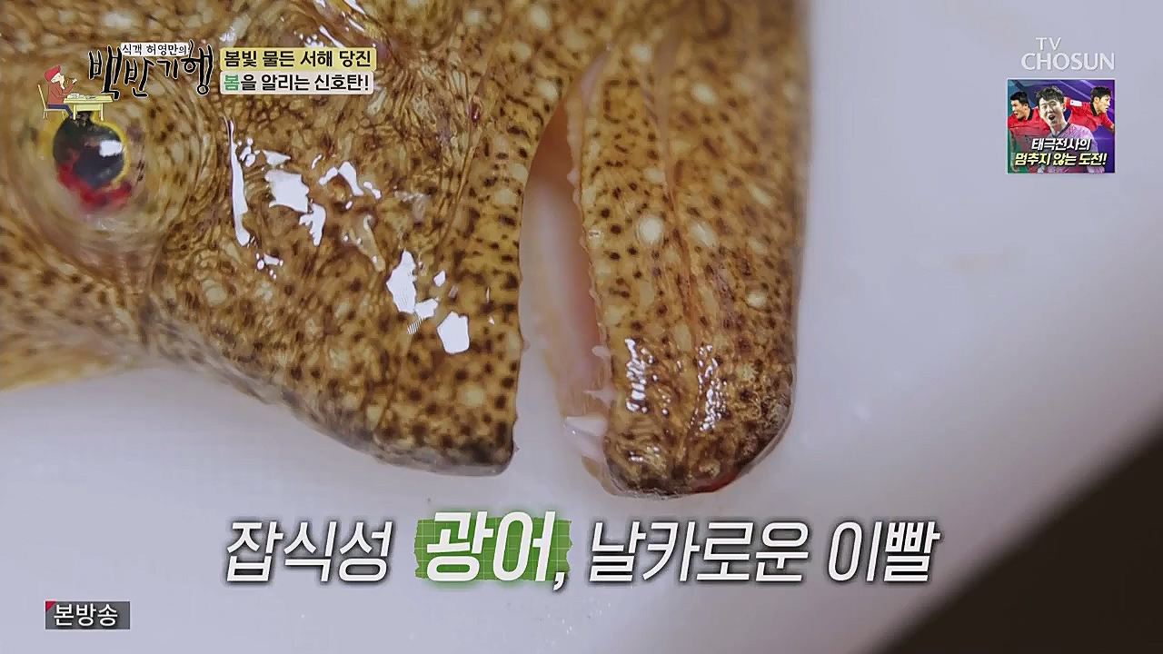 식객 허영만의 백반기행.E193.230318p.WANNA.mp4_20230318_171110.492.jpg