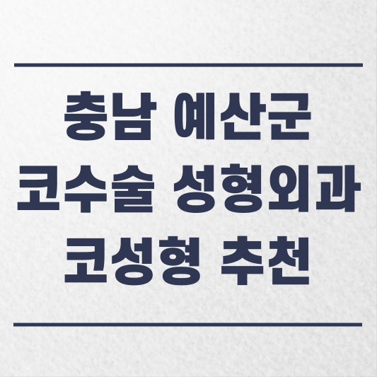 충남 예산군 코수술 성형외과 추천 코성형 잘하는 곳 가격 비용 금액 후기.png