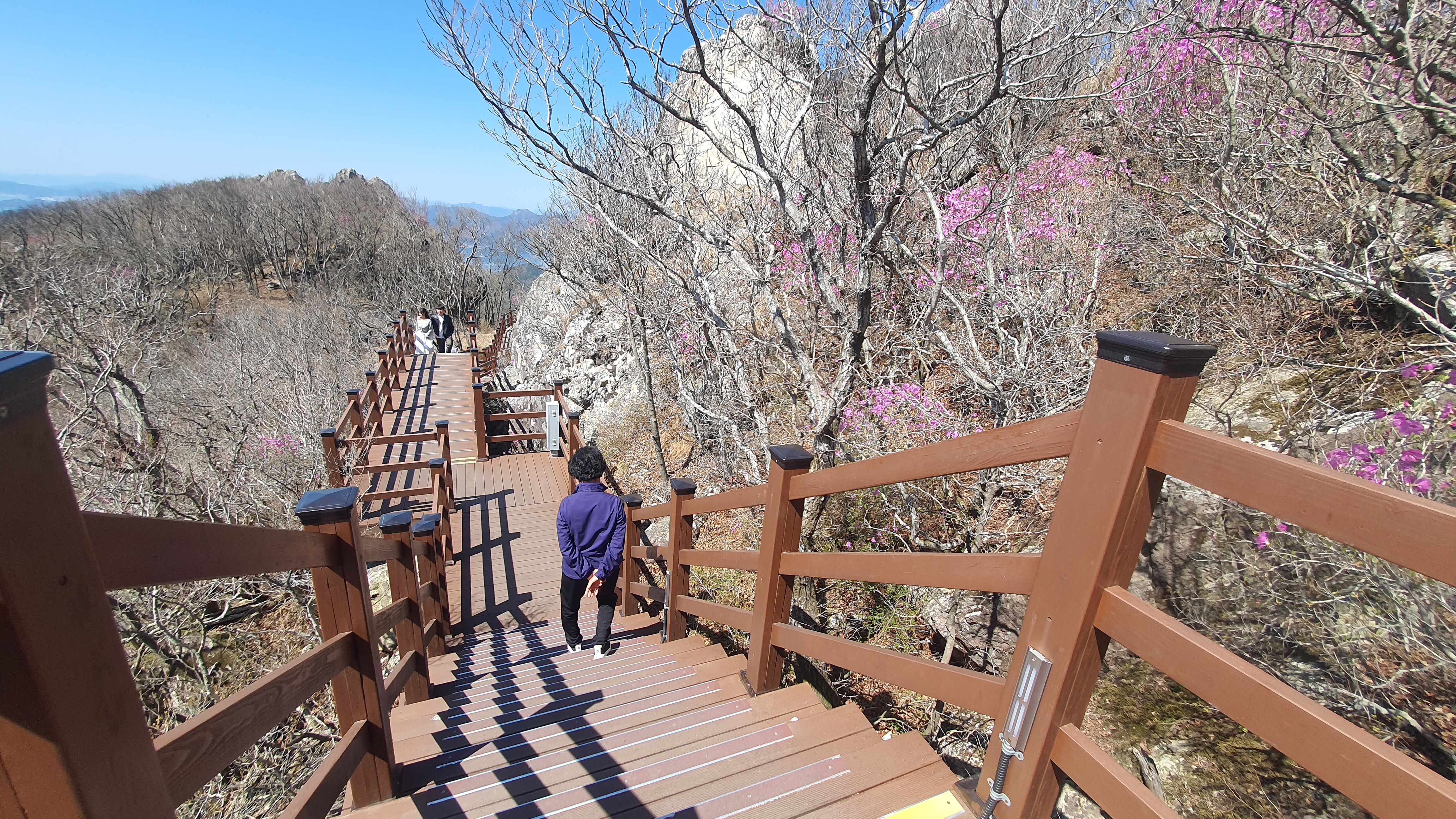 거제 파노라마 케이블카 이용 요금 할인 및 운영 현황