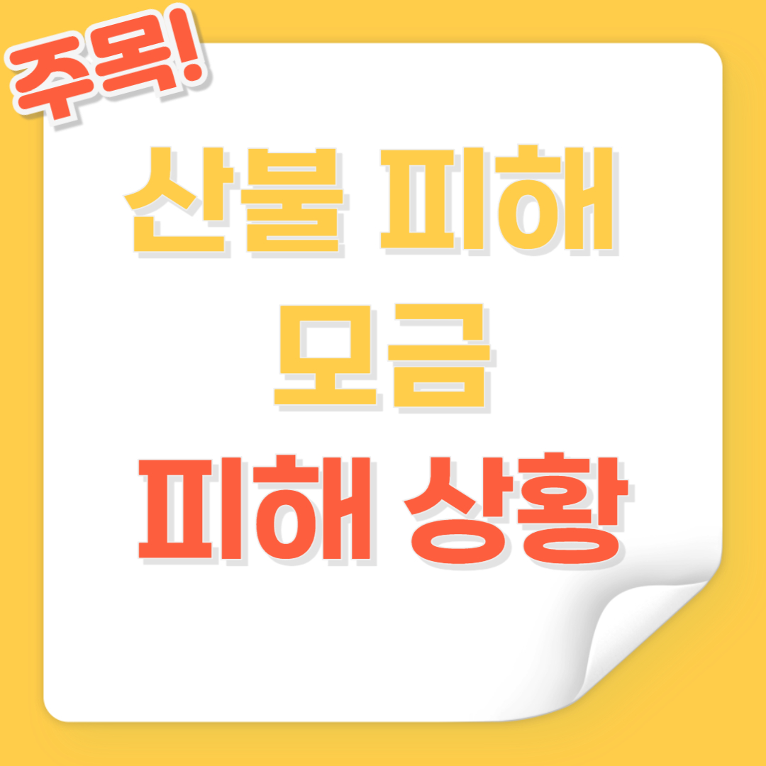 산불 피해 모금