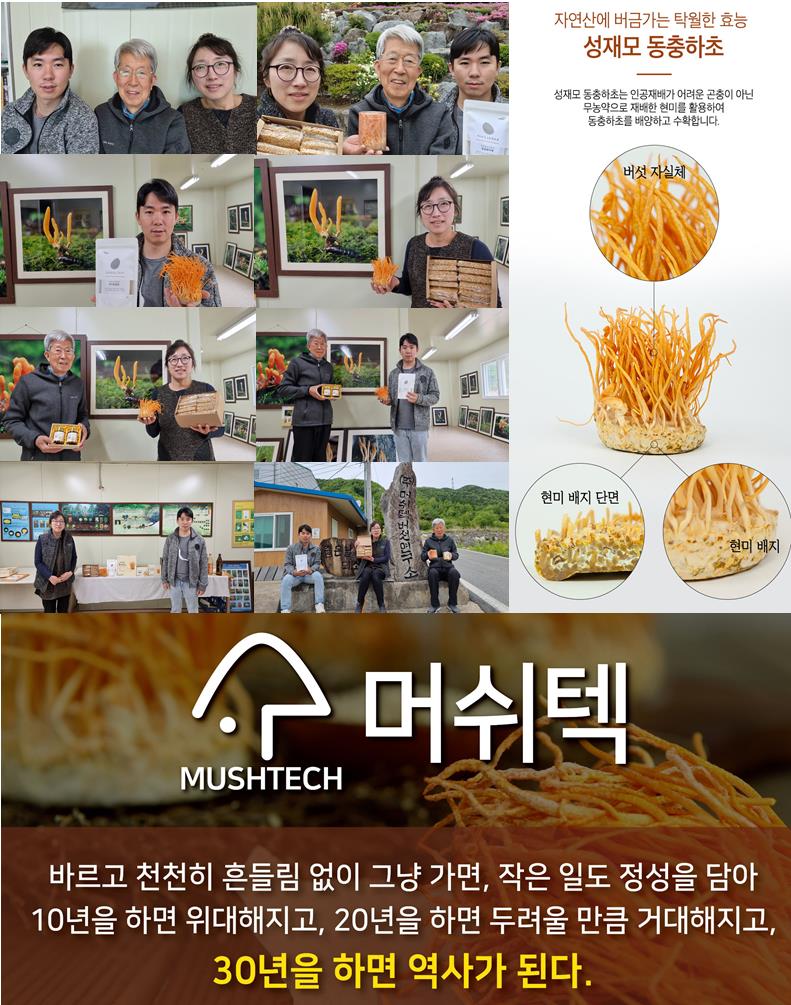 윤토마 이미지
