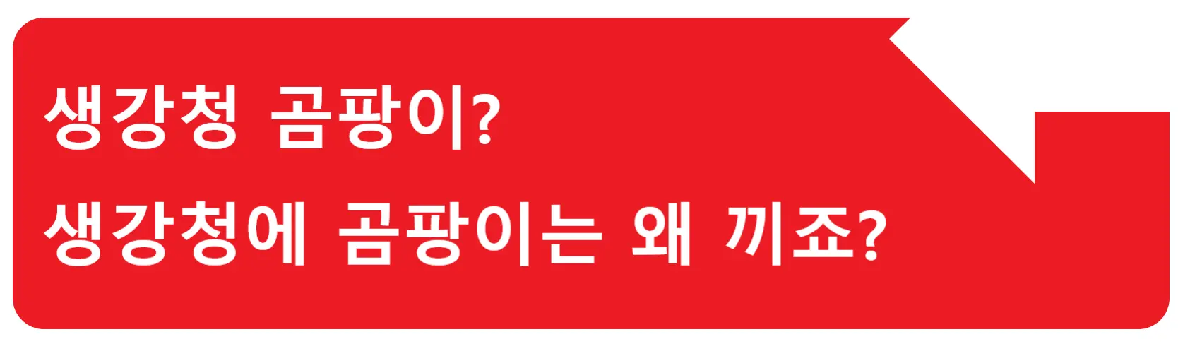 생강차 효능? 감기에는 생강차가 공식! 근데 왜 생강차가 좋은걸까?