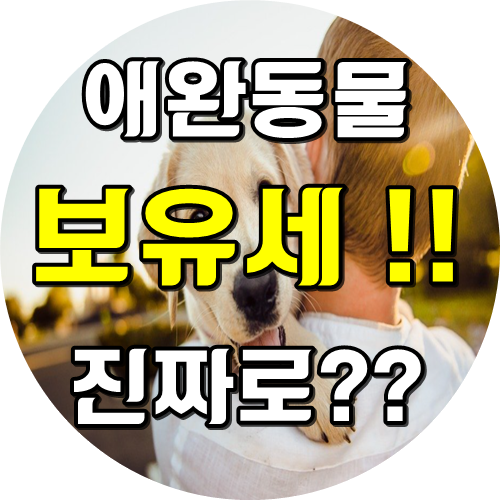  애견 애완동물 보유세!!!??? 세금을 낸다?