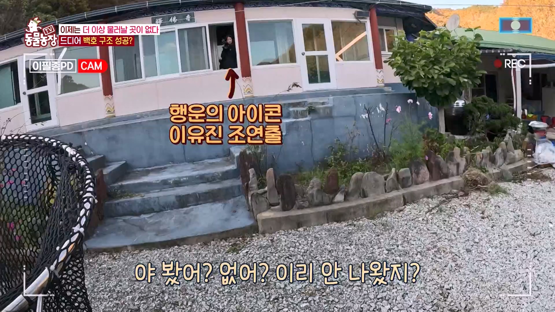 TV 동물농장.E1151.231224p-NEXT.mp4_20231224_154140.901.jpg