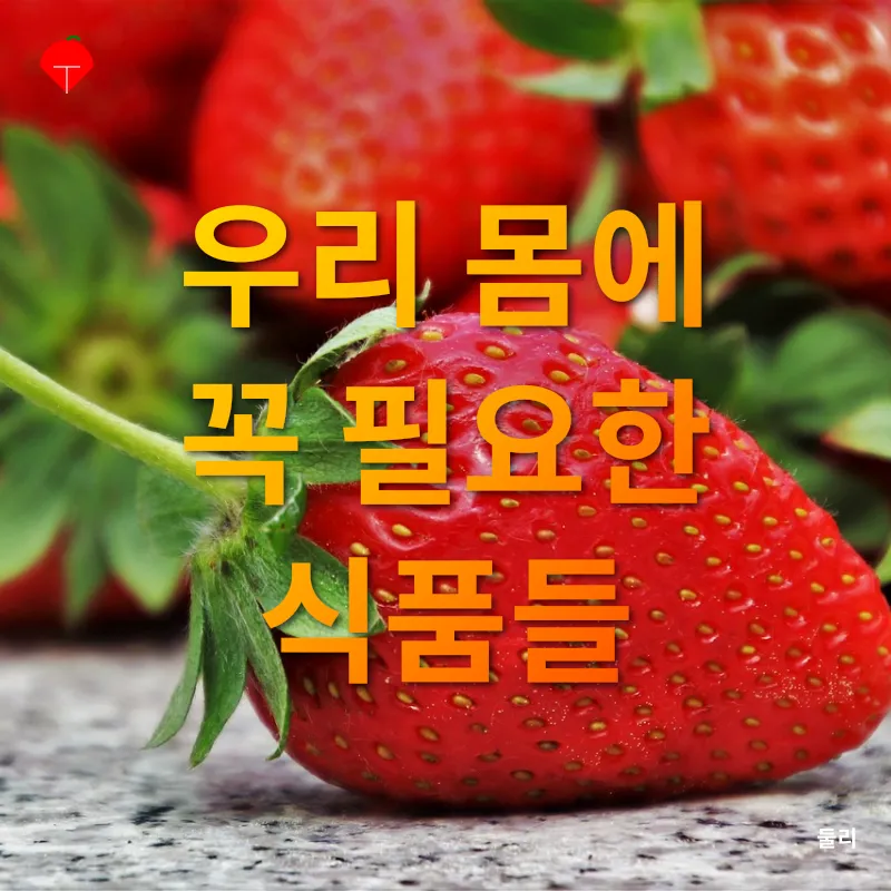 전통 문화의 가치_3
