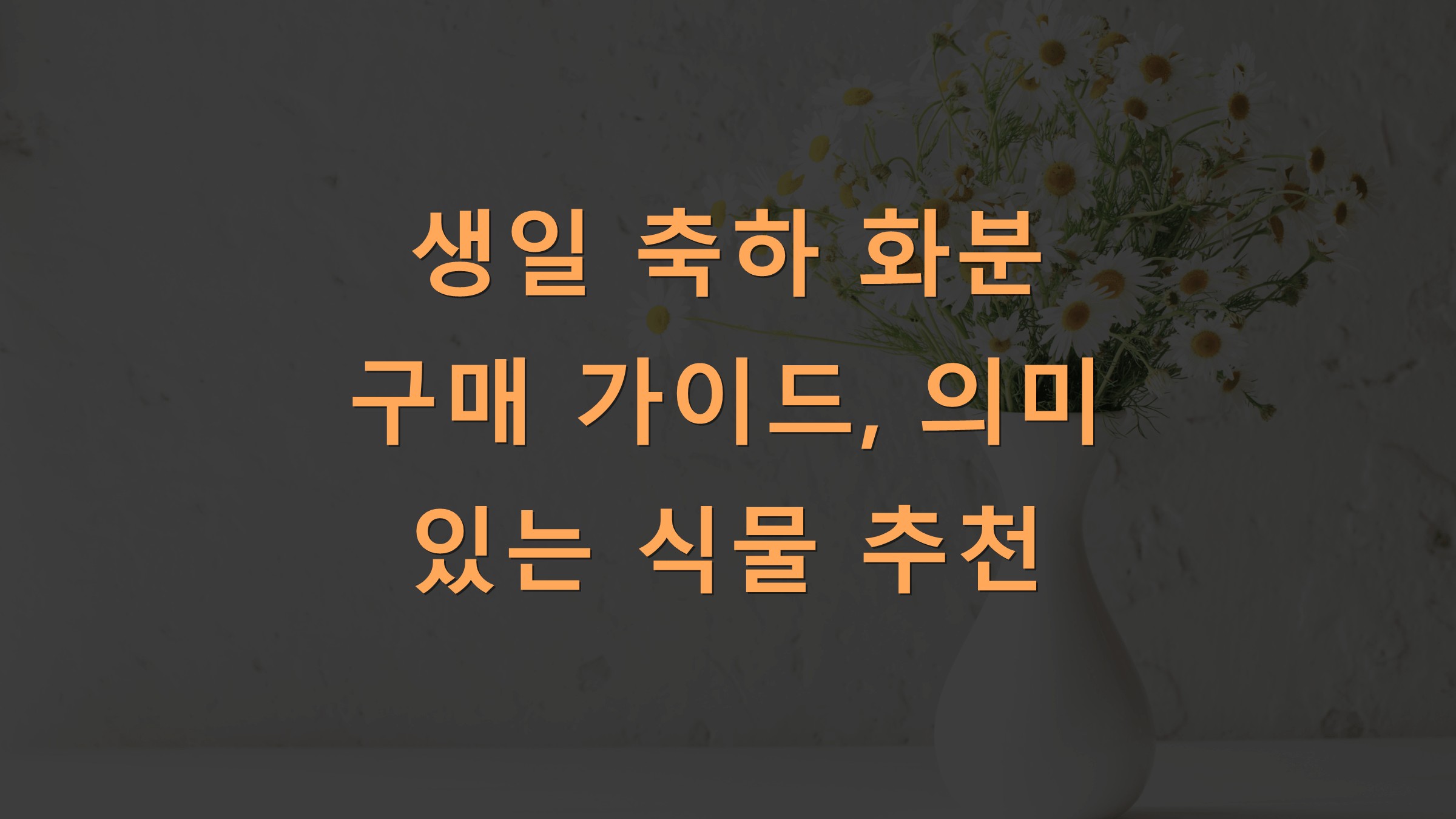 생일 축하 화분 구매 가이드, 의미 있는 식물 추천