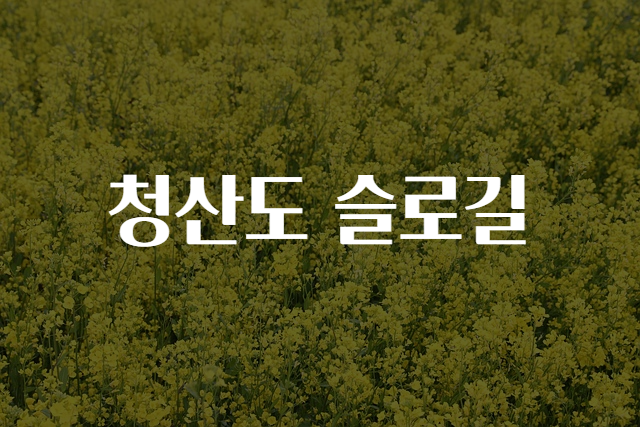 슬로위치 이미지