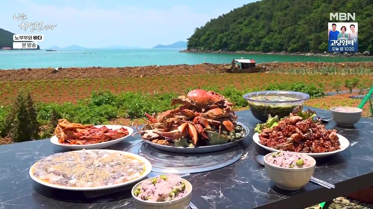 나는 자연인이다.E610.240620p-NEXT.mp4_20240620_192516.669.jpg