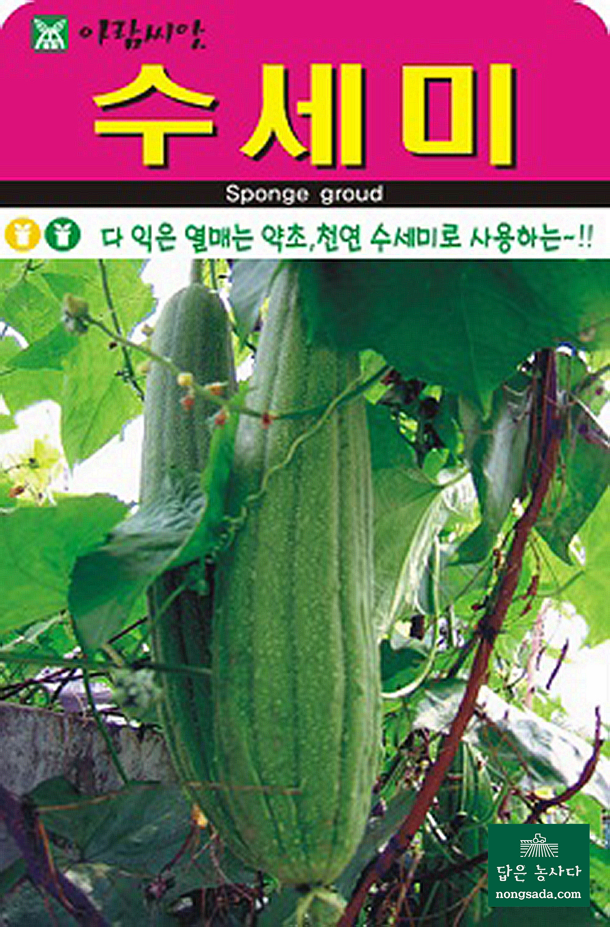 수세미 씨앗종자: 수액은 화장수, 열매는 천연 수세미