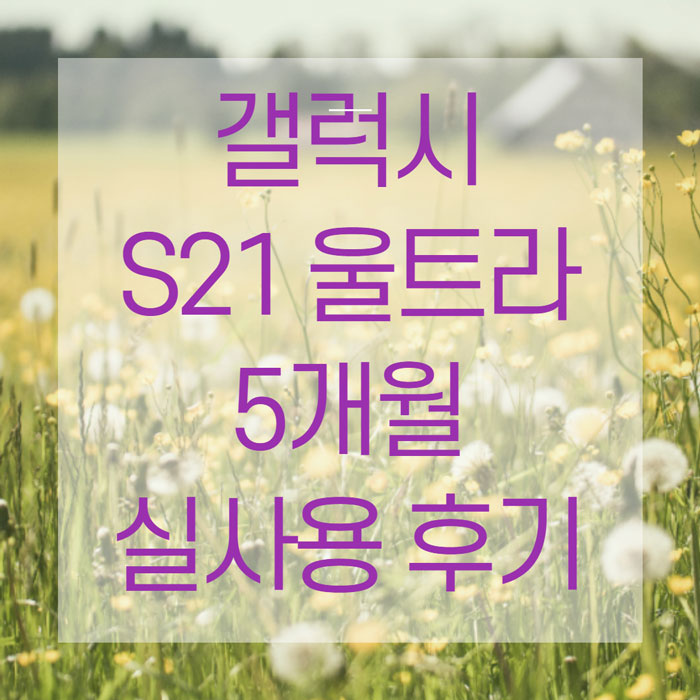 갤럭시-S21-울트라-실사용-후기-썸네일