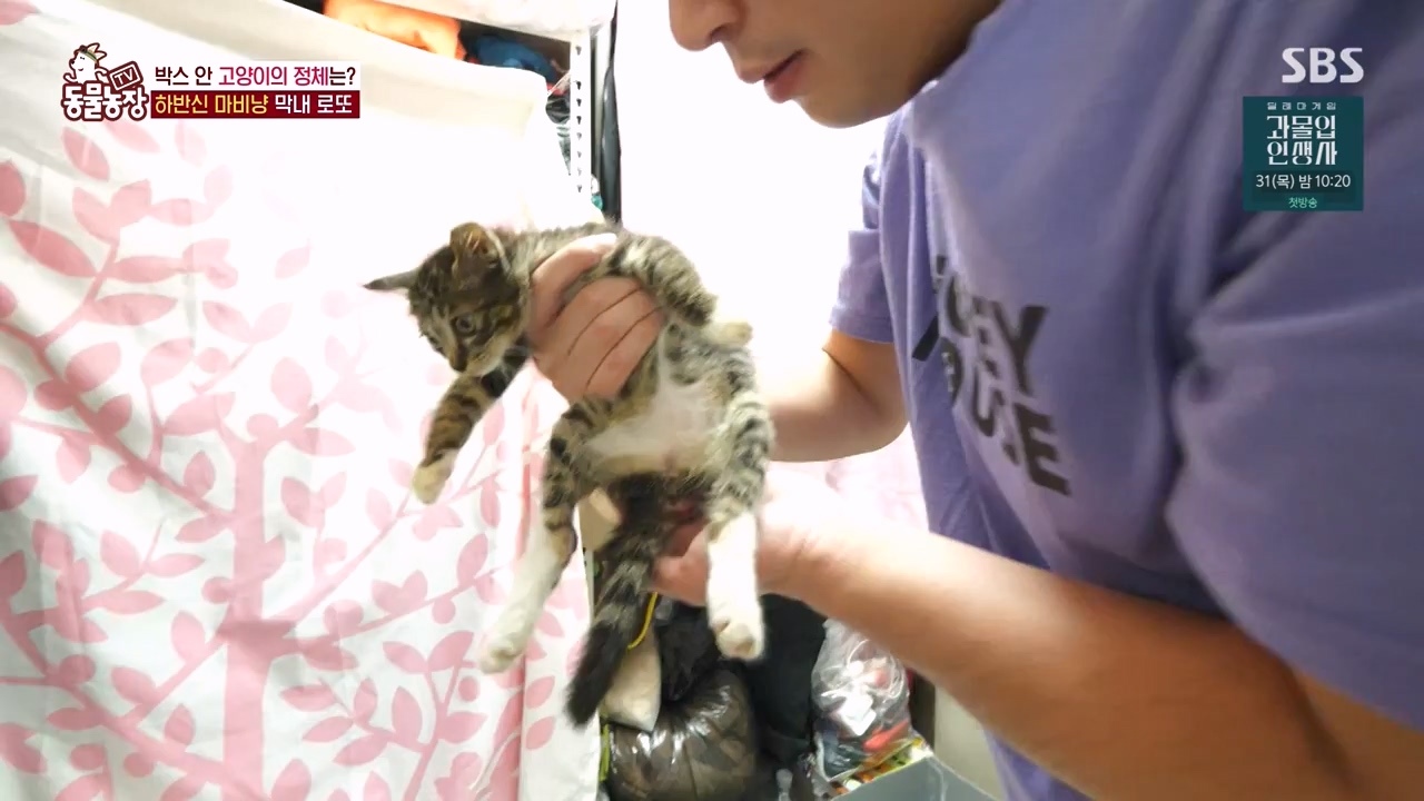 TV 동물농장.E1134.230821p-NEXT.mp4_20230820_193349.005.jpg