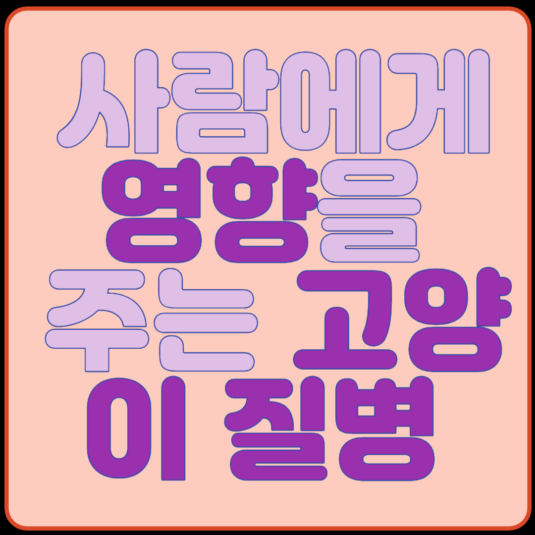 사람에게 영향을 주는 고양이 질병 알아보기