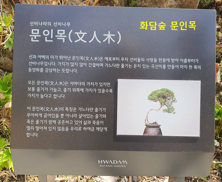 문인목 화담숲