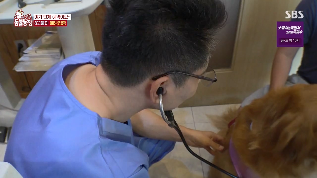 TV 동물농장.E1132.230807p-NEXT.mp4_20230806_164221.008.jpg