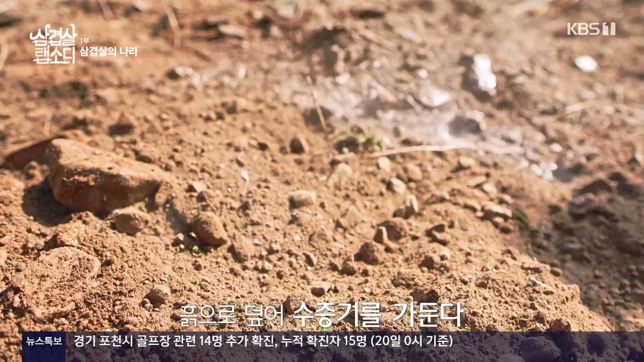 삼겹살 랩소디.E01.201221p-NEXT.mp4_20240221_195447.106.jpg