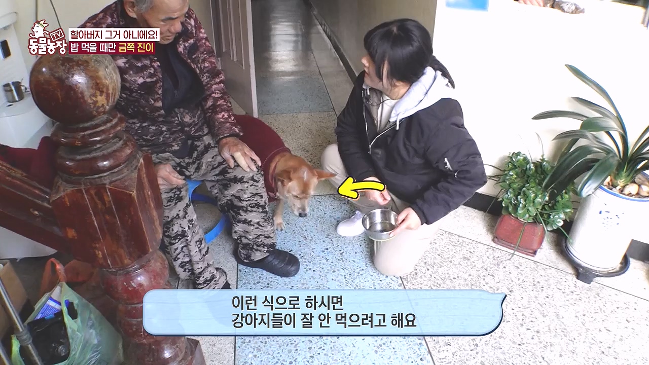 TV 동물농장.E1153.240108p-NEXT.mp4_20240107_173847.415.jpg