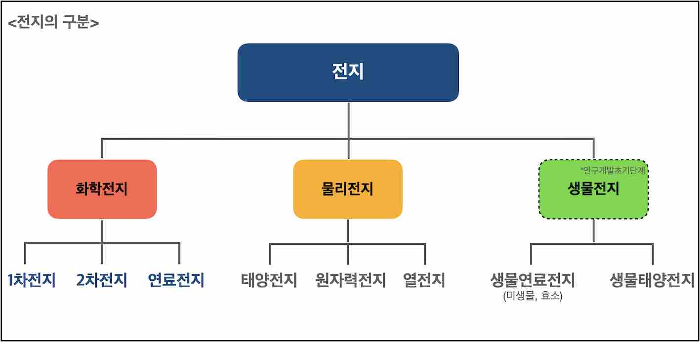 전지의 구분