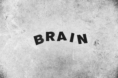 뇌_brain