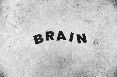  포스파티딜세린, 뇌건강 , ADHD 증상 개선에 효과적!