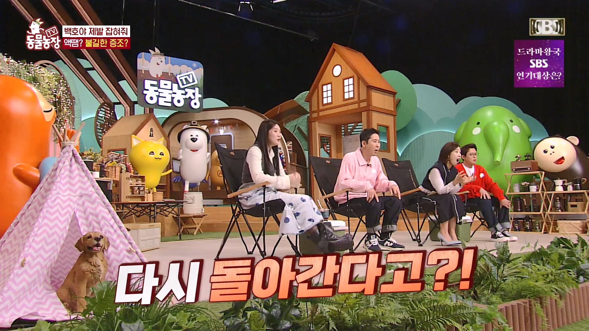 TV 동물농장.E1151.231224p-NEXT.mp4_20231224_154138.887.jpg