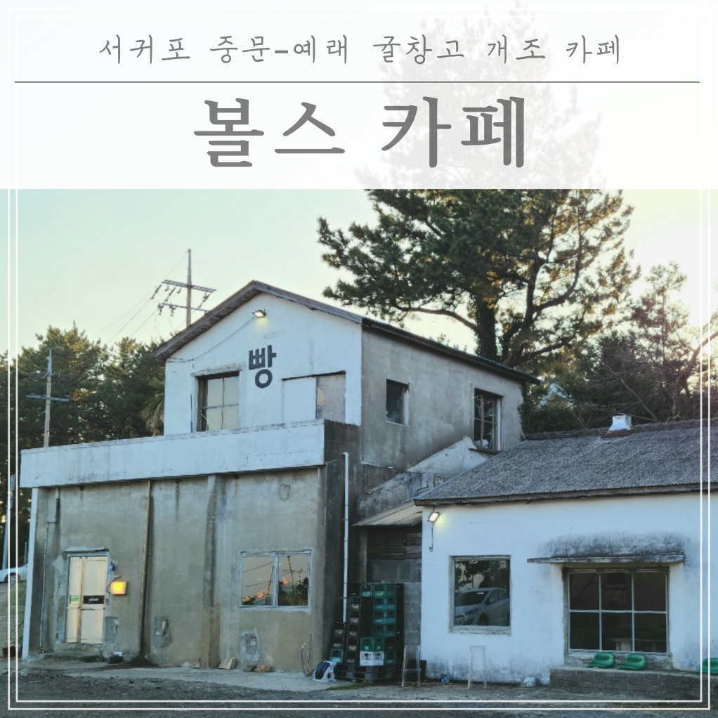  귤창고 개조카페의 원조격!! 볼스카페(애견동반가능)