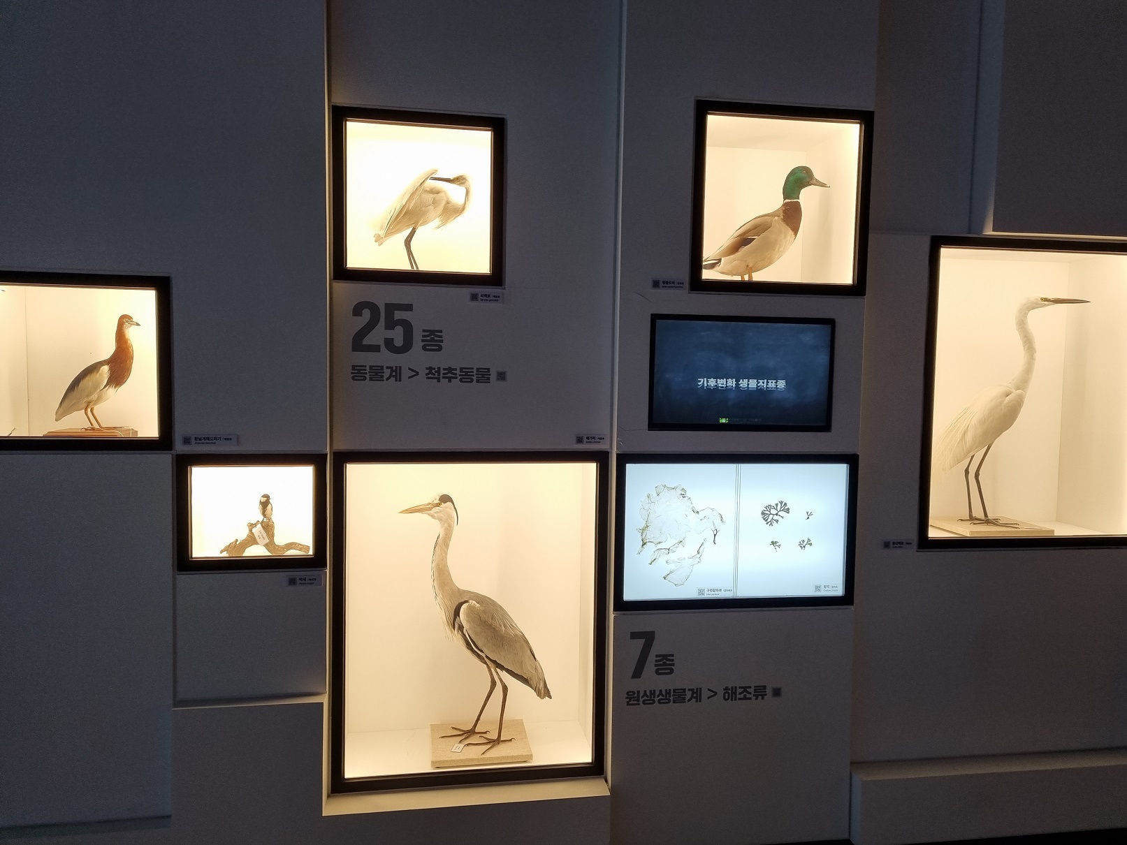 서대문자연사박물관