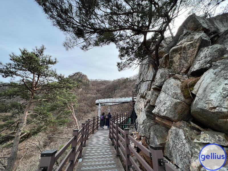 춘천 삼악산 케이블카 산책길