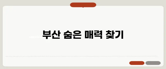 부산 가볼만한곳 현지인 추천 스폿 TOP5