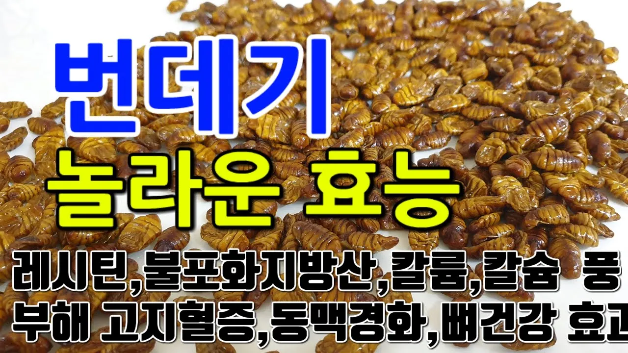 번데기 효능 번데기 볶음 만드는 방법_1