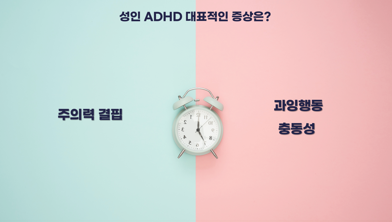 성인 ADHD 증상 종류_마음닥터 교육 자료