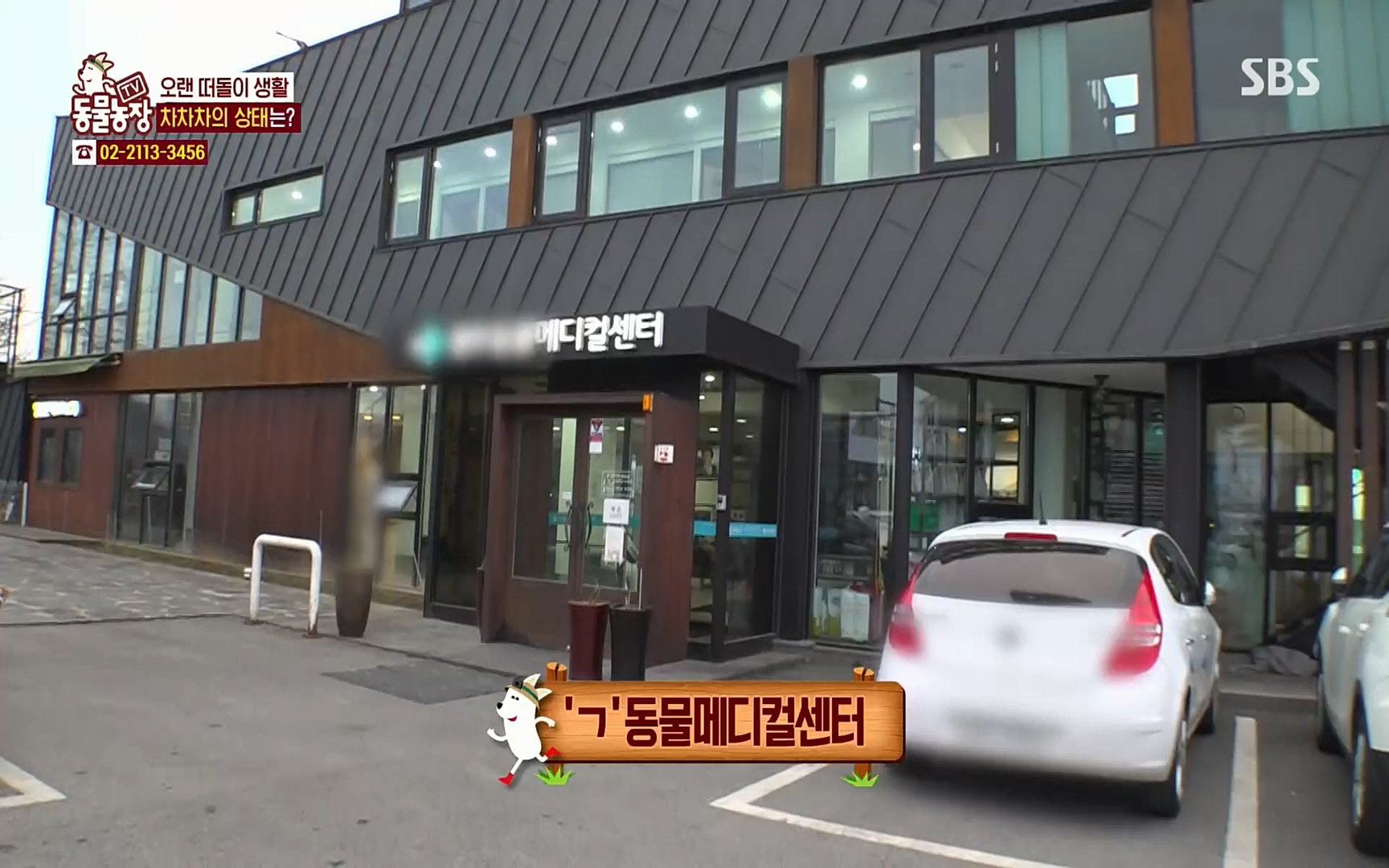 TV 동물농장.E1063.220403p.H264-F1RST.mp4_20220403_175117.932.jpg