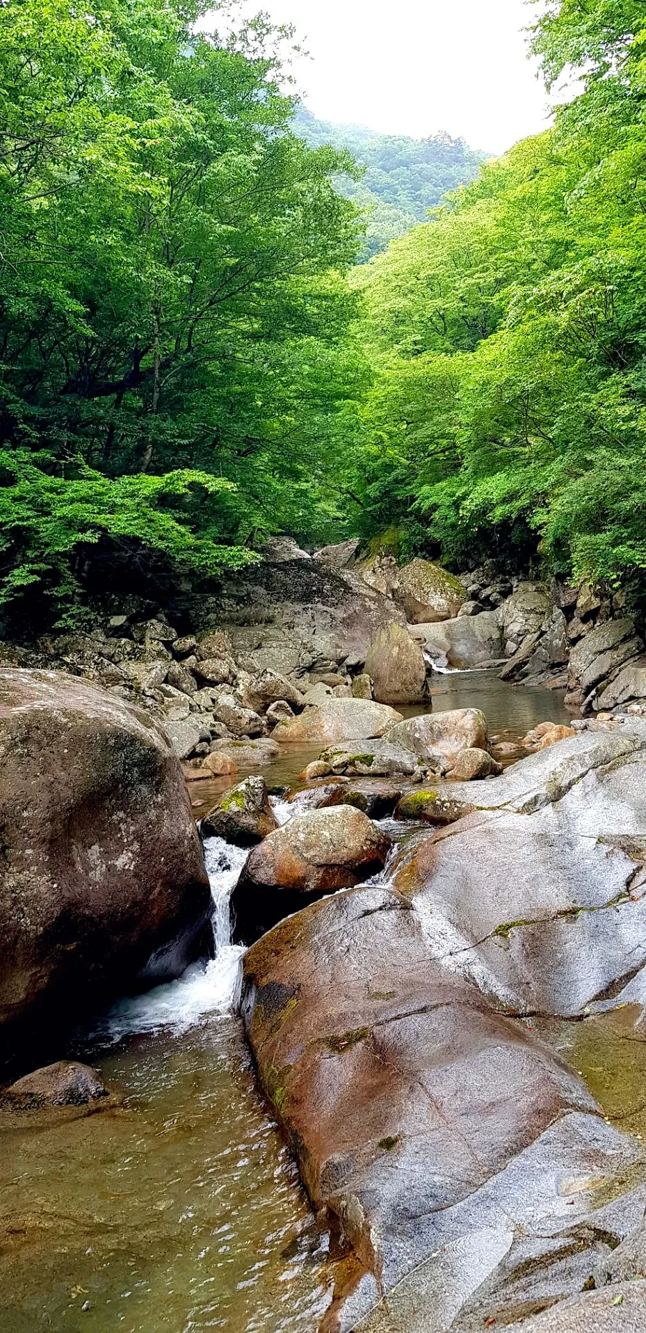 지리산 칠선계곡 계곡치기
