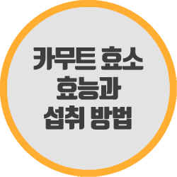 카무트 효소의 효능과 섭취 방법으로 체중 조절하기