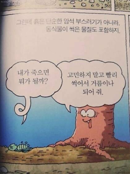 동심 이미지