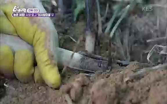 [7613회] 6시 내고향 - KBS7613회] 6시 내고향.ts_20220913_205400.483.jpg