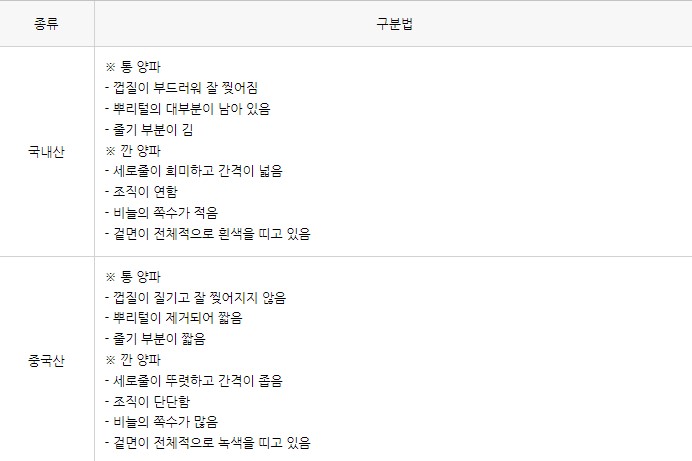  양파의 효능 및 보관법 국내산 양파 고르는 법