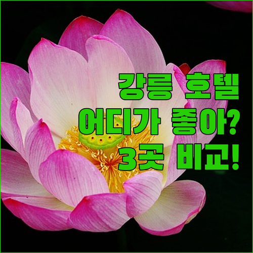 강릉 호텔 어디로? 강릉씨티호텔, 스