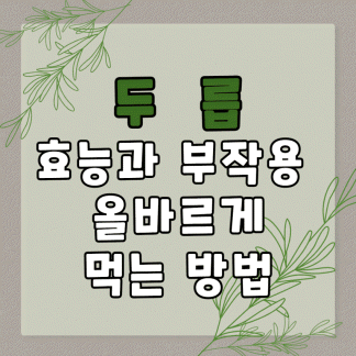 두릅 효능과 부작용 올바르게 먹는 방법