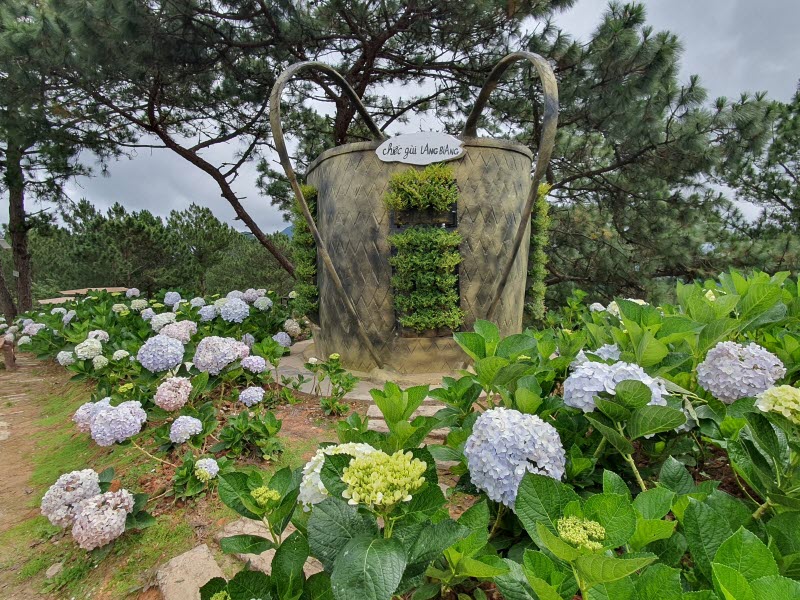 랑비앙산-정상-정원